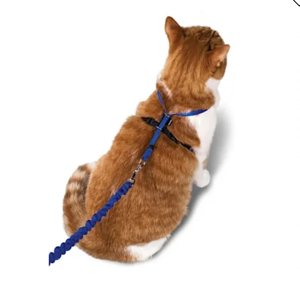 Pet safe come with me kitty harness and bungee leash blue medium